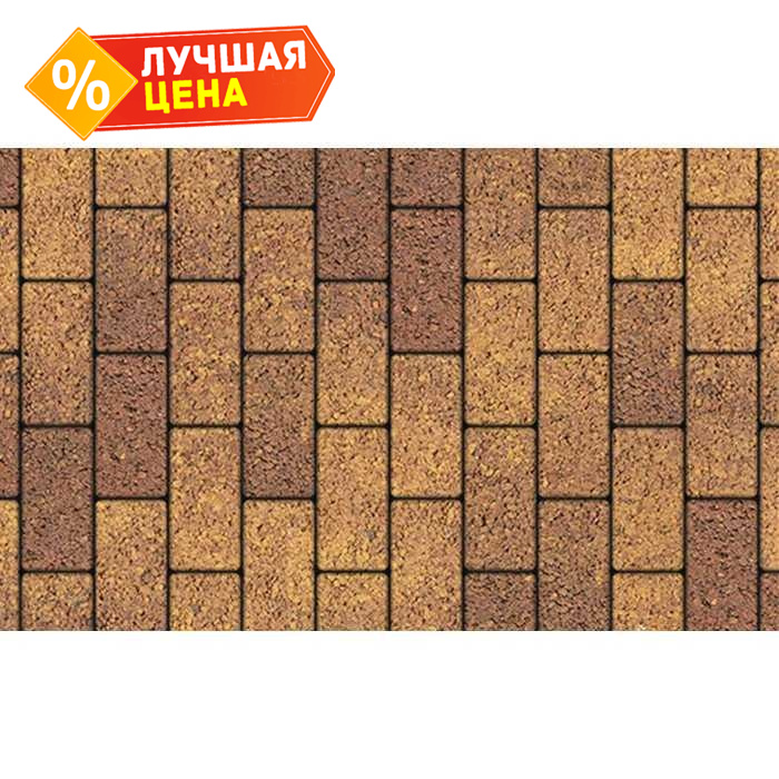 Плитка тротуарная Прямоугольник (Ла-Линия) Б.2.П.6 Листопад гладкий Осень 200x100x60 мм