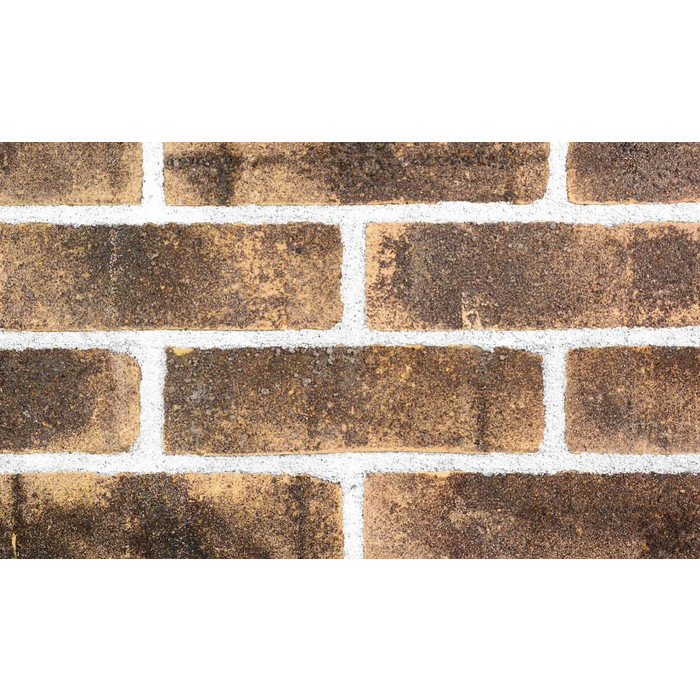 Кирпич S.Anselmo Superior Line Bruciato, Standart, 250х60х55 мм